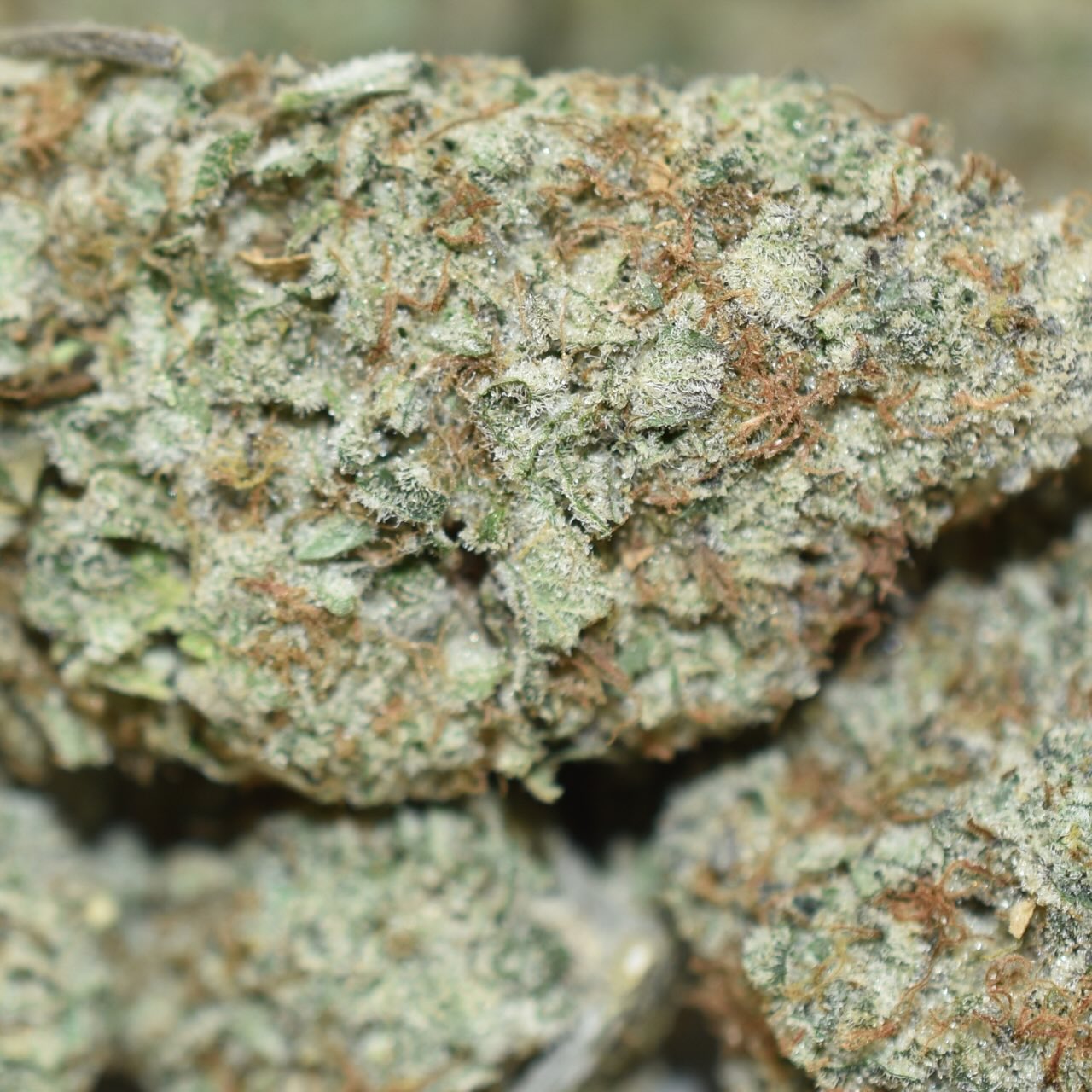 Blackberry Moonrocks - Image 4