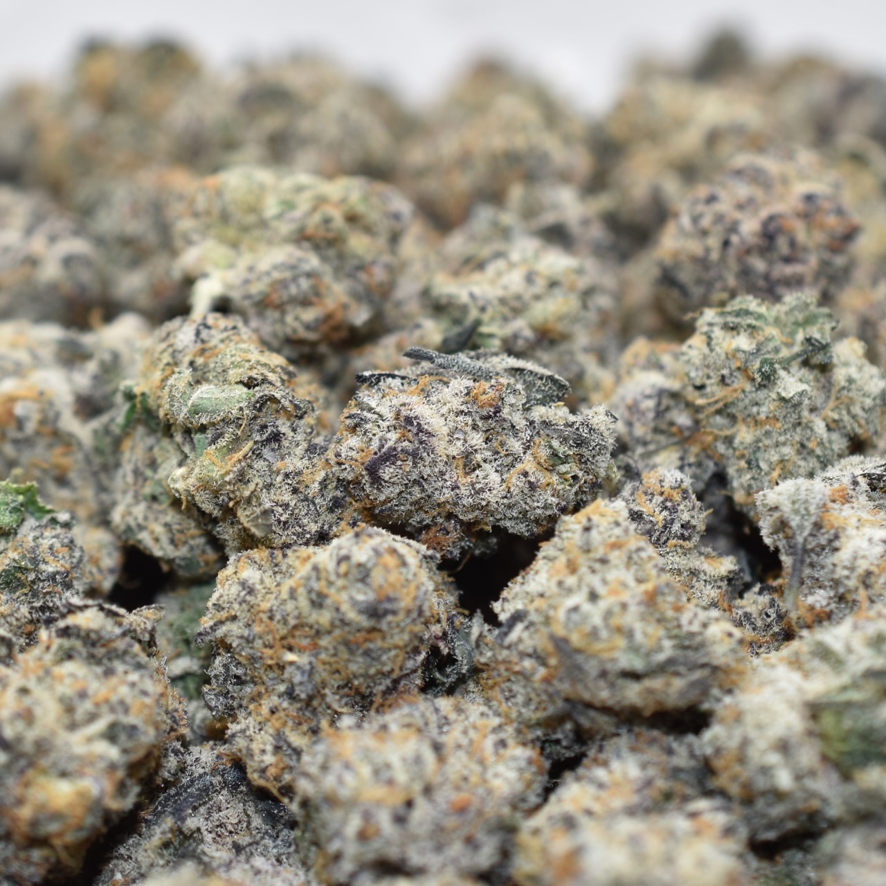 Kick Flip Mid Sized Nugs - Image 2