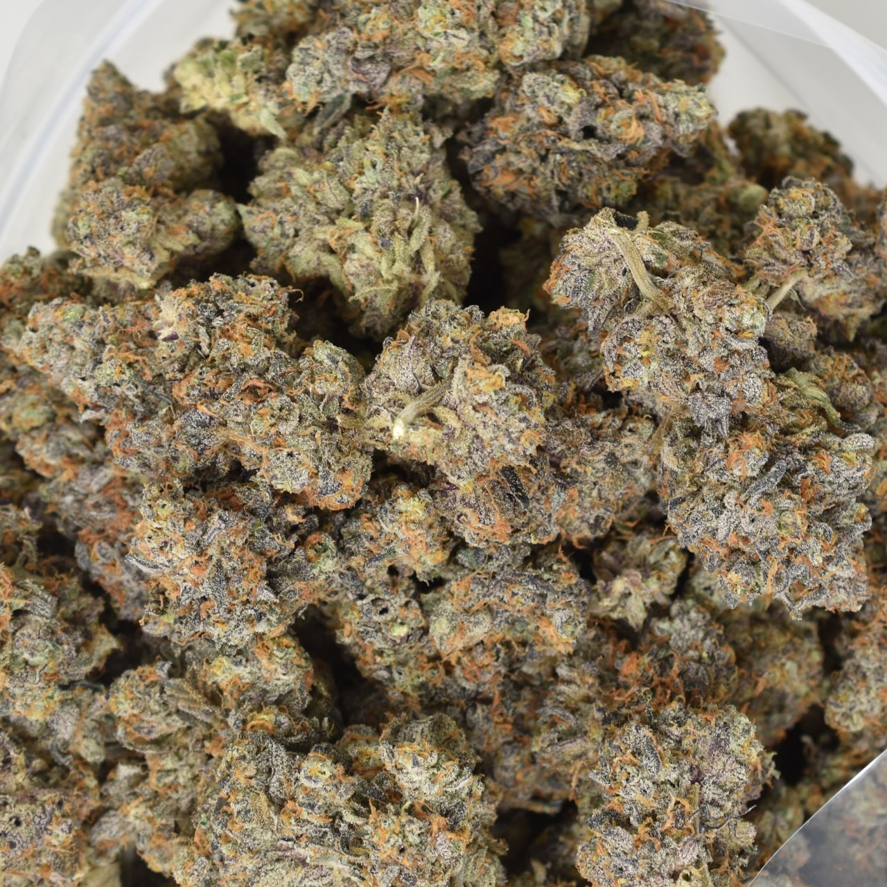 Super Sour Orange - Image 2