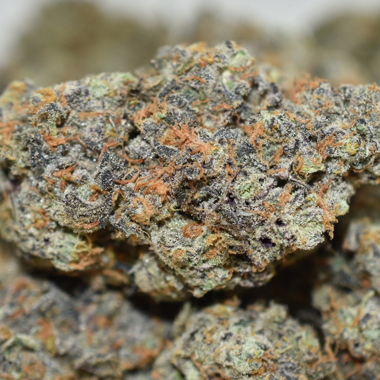 Super Sour Orange - Image 4