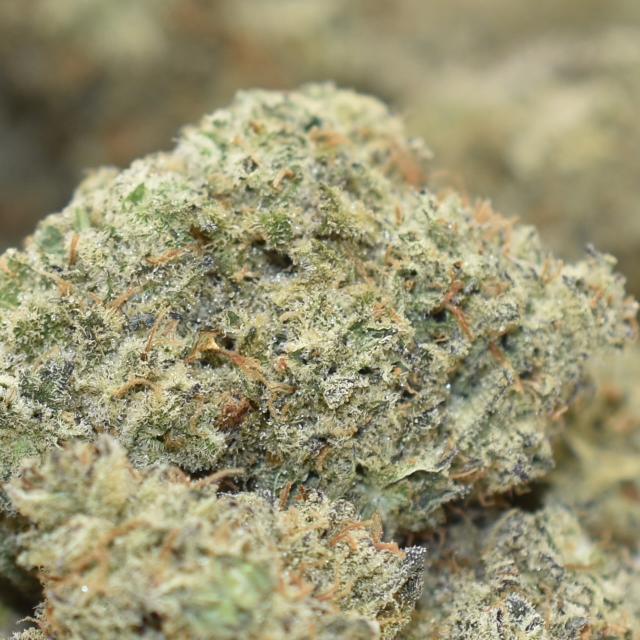 Cap Junky - Image 2