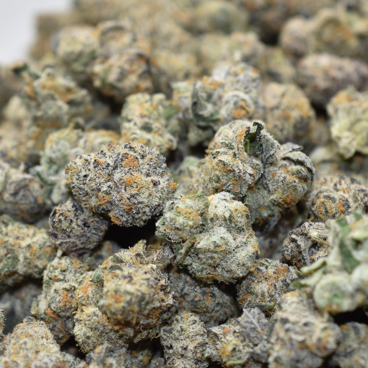 Gooberz Mid Sized Nugs - Image 2