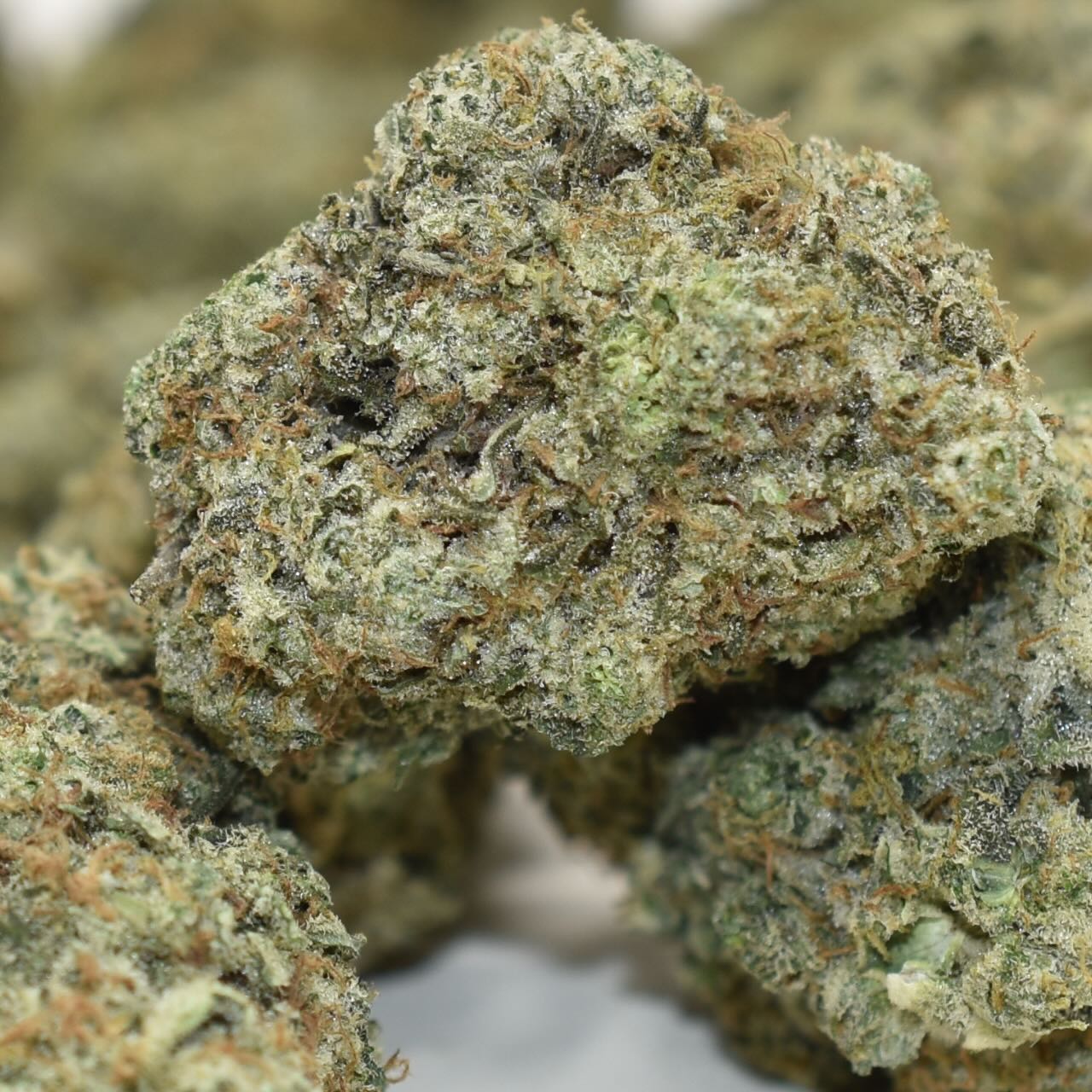 Knockout OG - Image 4