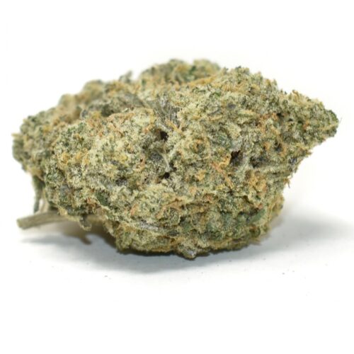 Mendo Kush