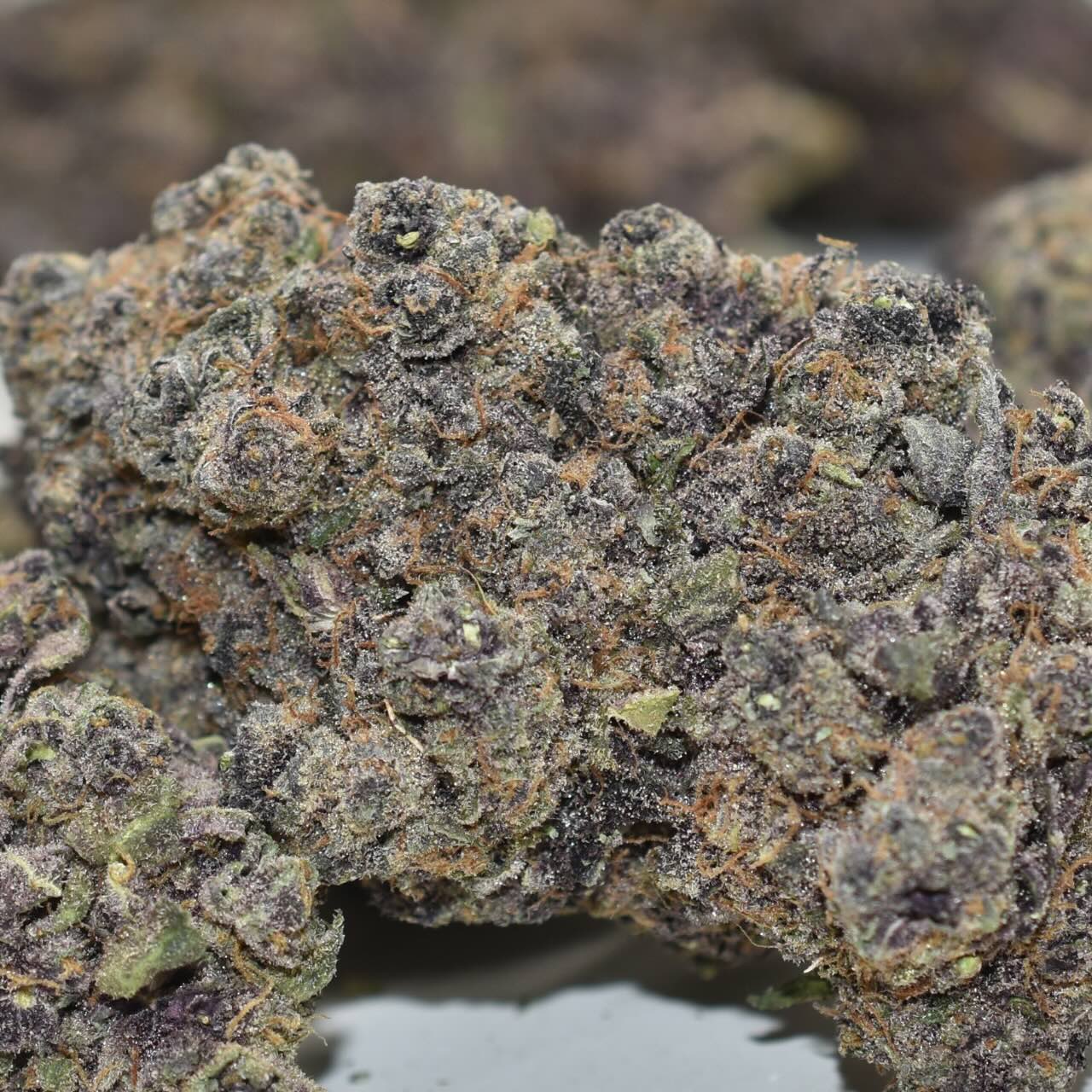 Purple Haze - Image 5