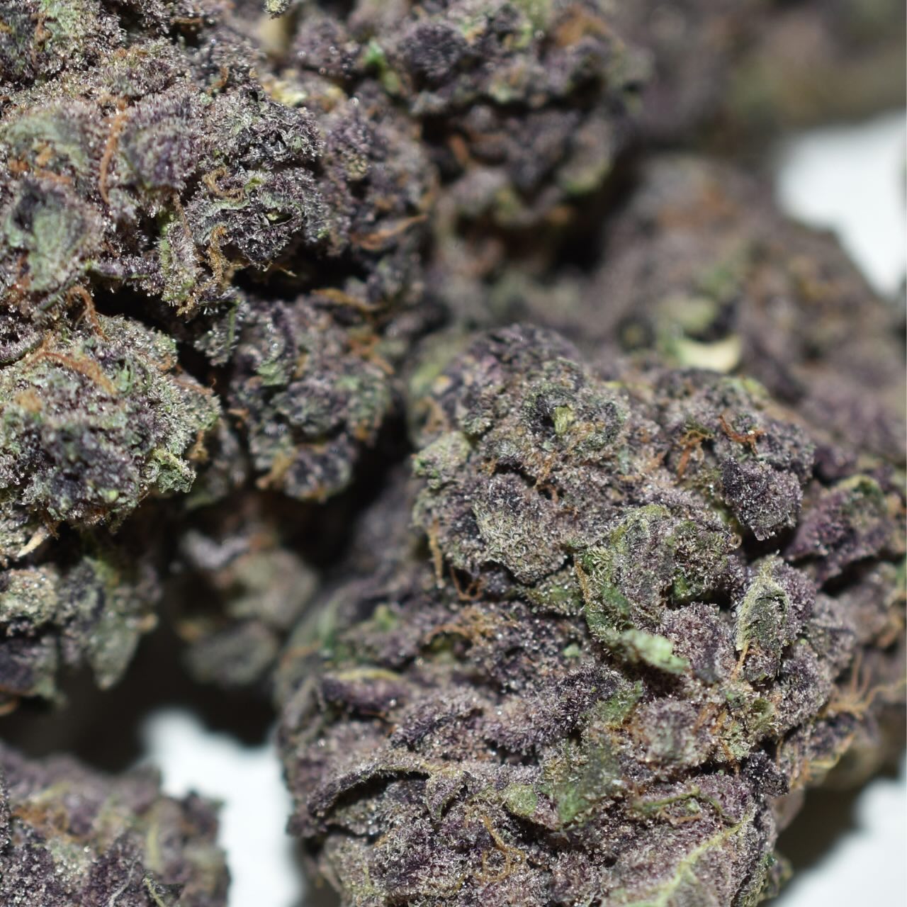Purple Haze - Image 4
