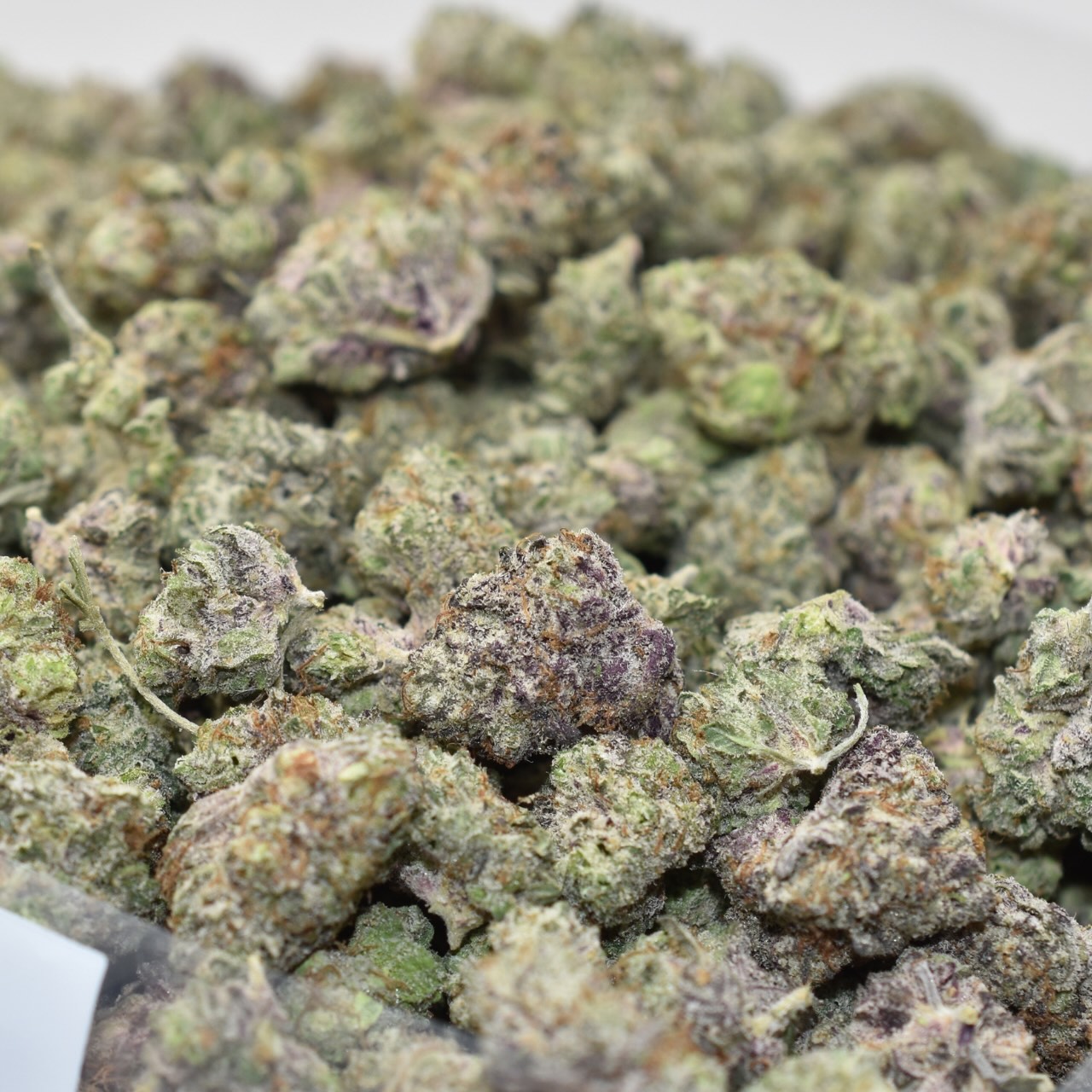 Royal Jelly Midsized Nugs - Image 2