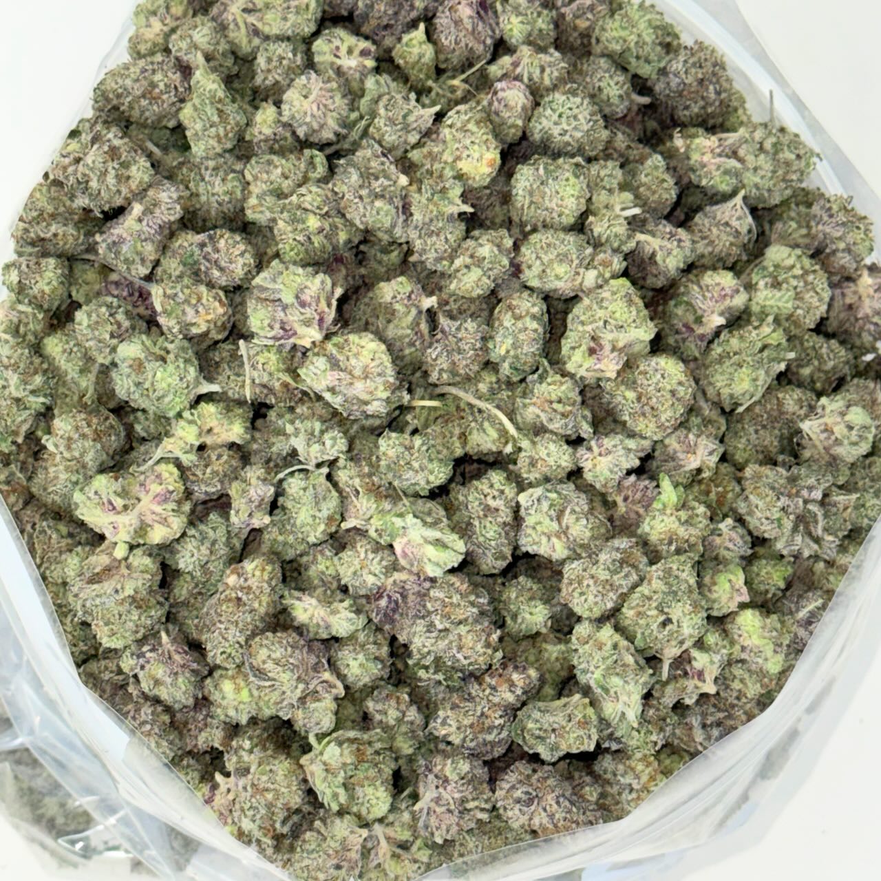 Royal Jelly Midsized Nugs