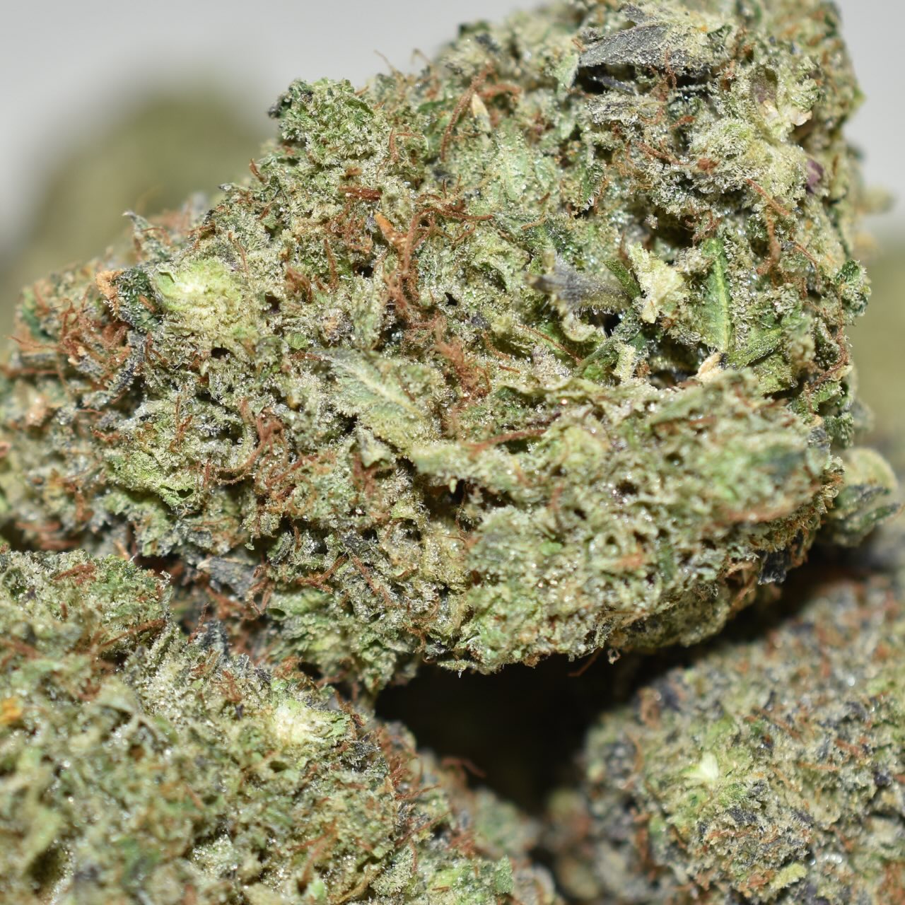 Stinky Pinky - Image 4