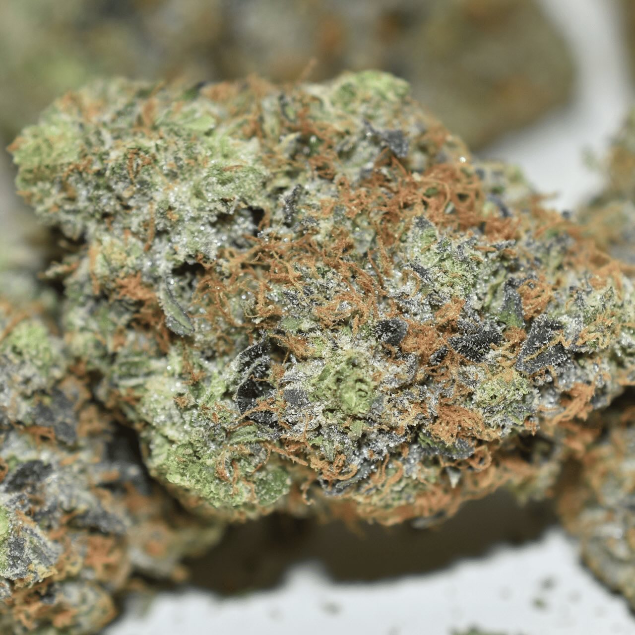 Bubba Kush - Image 4